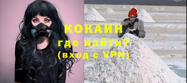 мдпв Кодинск