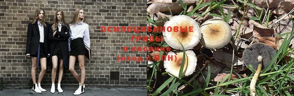 мдпв Кодинск