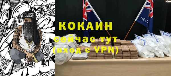 мдпв Кодинск