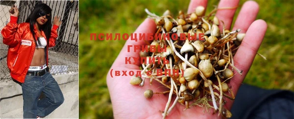 меф Козельск