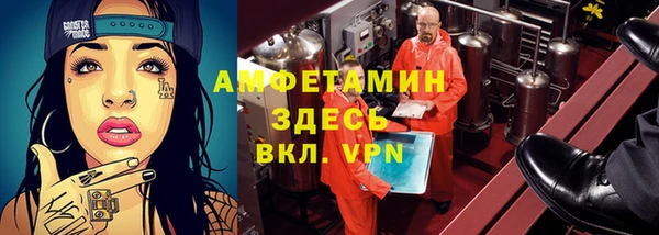 мдпв Кодинск