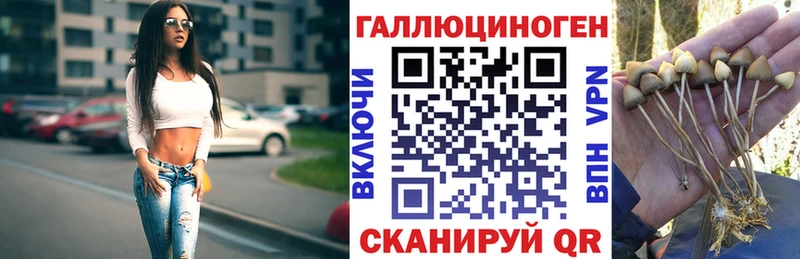MEGA ТОР Салехард Галлюциногенные грибы GOLDEN TEACHER